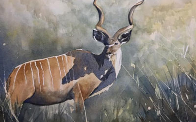Kudu