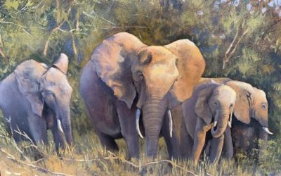 Elephant Herd