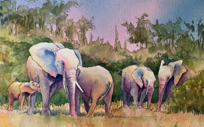Pink Elephants