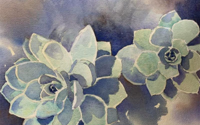 Rose Cactus