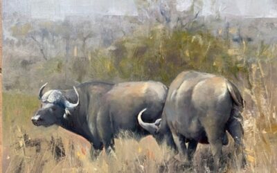 Buffalo
