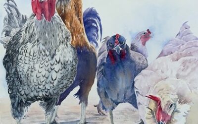 Funky Chickens