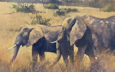 Kruger Elephants