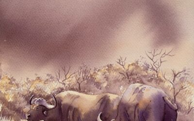 Buffalo