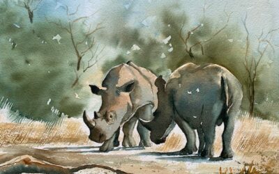 Rhinos