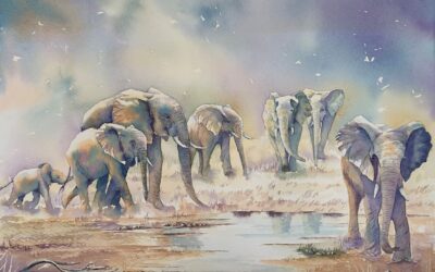Waiting for the Rains