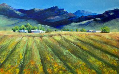 Cape Wine Lands