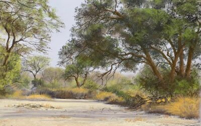 Dry River Bed